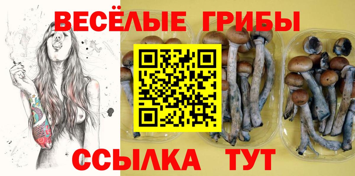 Галлюциногенные грибы Psilocybine cubensis  Вход с VPN  Галлюциногенные грибы мухоморы  Дальнегорск 